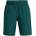 Under armour Къси панталони Woven Wdmk Shorts