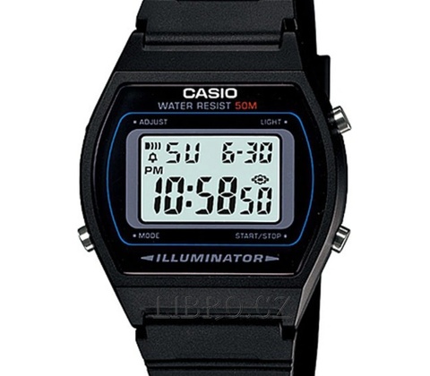 Casio W-202-1A
