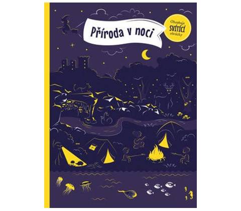 Příroda v noci