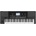KORG Pa300