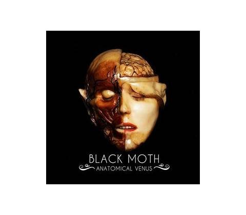 Anatomical Venus - Black Moth CD