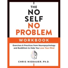 The No Self, No Problem Workbook: Exercises & Practices from Neuropsychology and Buddhism to Help You Lose Your Mind (Niebauer Chris)(Paperback)