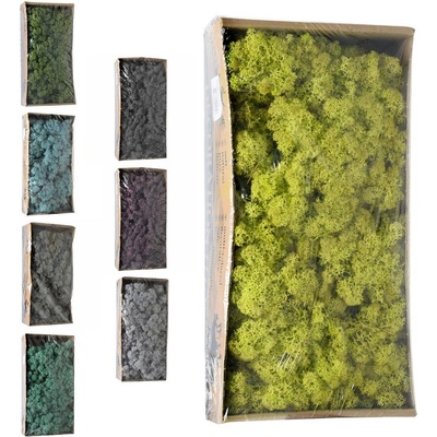 Mach moss preparovaný- box 500g so SOBOM