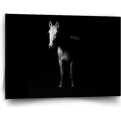 Sablio Obraz Kôň v tieni - 90x60 cm