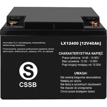 LTC BATE-19834 12V 40Ah