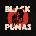 Black Pumas - Black Pumas (LP) (5400863011536)