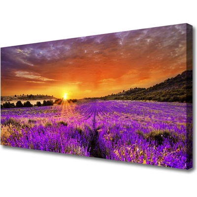 Obraz Canvas Západ slnka pole levanduľa 100x50 cm