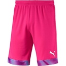 Puma Cup