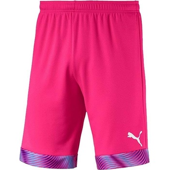 Puma Cup