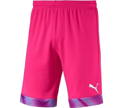 Puma Cup