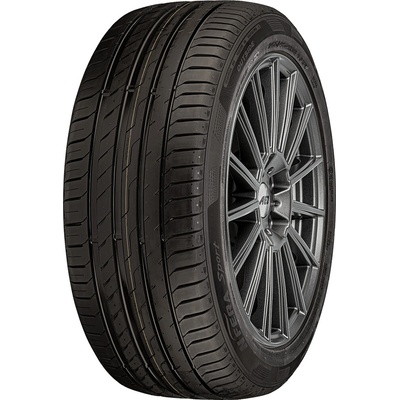 Nexen N'Fera Sport 205/55 R16 91H | Zboží Auto