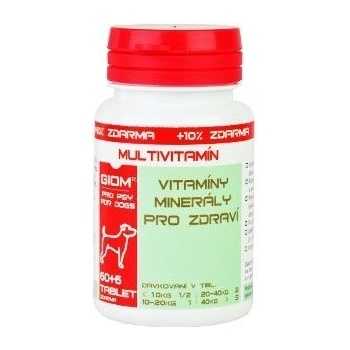 Giom ERA Multivitamín 60 tbl