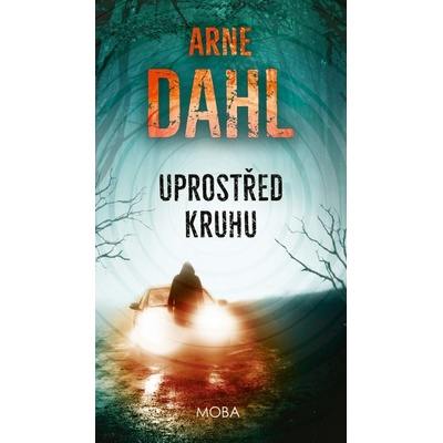 Uvnitř kruhu - Arne Dahl
