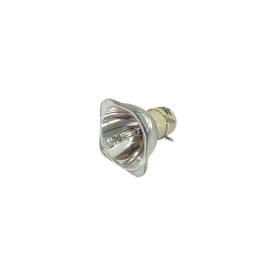 Lampa do projektora Optoma DW416, kompatibilná lampa bez modulu