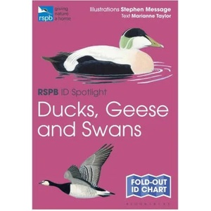 RSPB ID Spotlight - Ducks, Geese and Swans | Message Stephen Message (2022)