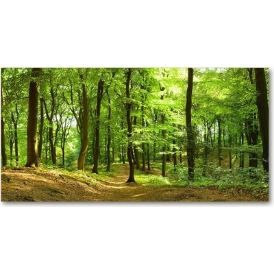 Fotoobraz na skle lesný chodník 100x50 cm