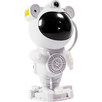 Aga DS2305