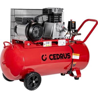 Cedrus KM100