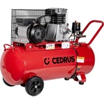 Cedrus KM100