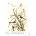 Принт MacGillivray's Finch, Джон Джеймс Одюбон - репродукция (Print1047)