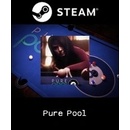 Pure Pool