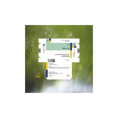 SPIRITUALIZED - EVERYTHING WAS BEAUTIFUL CD
