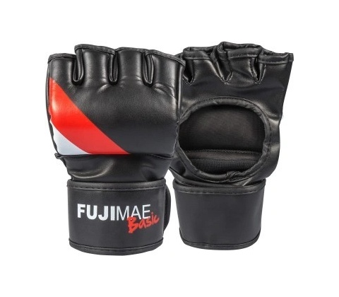 Fujimae Basic