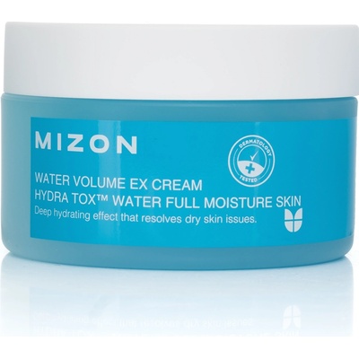 Mizon Water Volume Ex Cream 100 ml