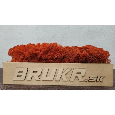 Stabilizovaný mach - Nórsky lišajník - oranžová ( Orange ) 4kg