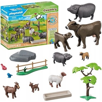 PLAYMOBIL 71307 Krajina