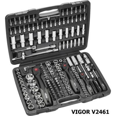 VIGOR V2461