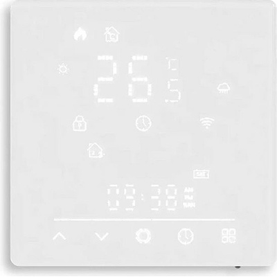 MOES Smart Matter WiFi GC Water/Gas 5 A