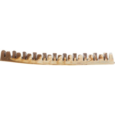 Denta Fun Veggie Jaw Bone kost čelist 22 cm 85 g