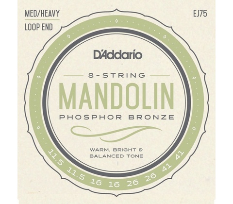 D'addario EJ75