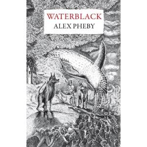 Waterblack (ISBN: 9781913111595)