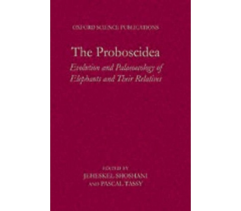 Proboscidea