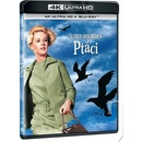 Ptáci BD