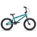 CTM Sprig 2022