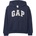GAP V-frch heritage logo m