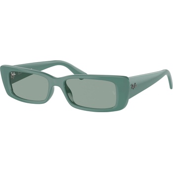 Image 1 of Ray-Ban Teru RB4425 676282