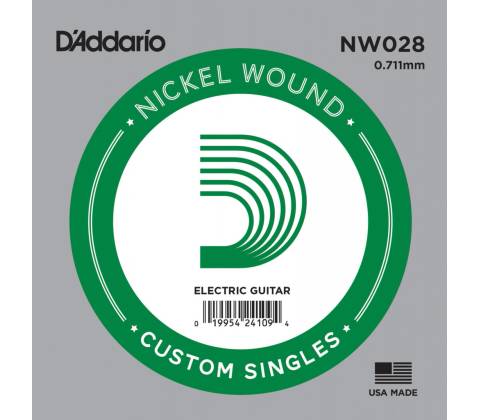 D'Addario NW 028