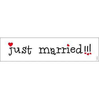 PartyDeco Сватбена регистрационен номер за кола Just married! ! !
