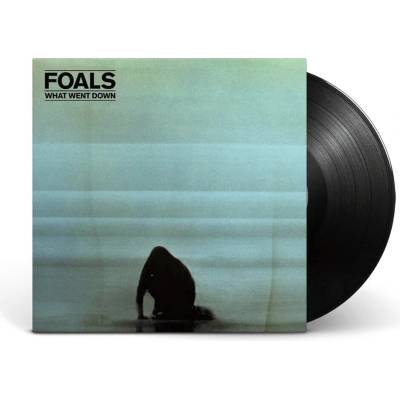 FOALS: WHAT WENT DOWN LP