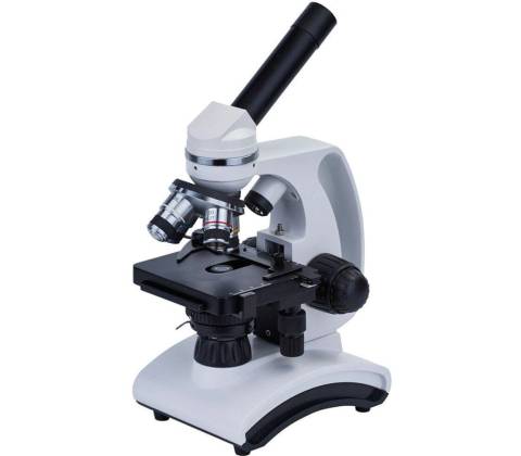 Discovery Atto Polar