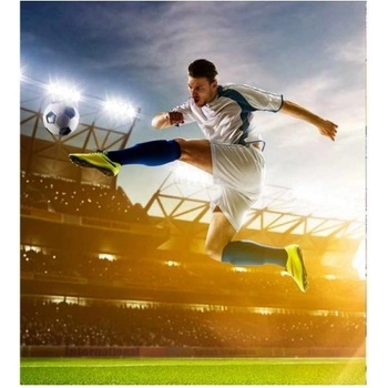 DIMEX ART s. r. o Флизелинов фототапет футболист 225 x 250 см