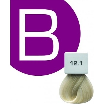 Berrywell farba na vlasy 12.1