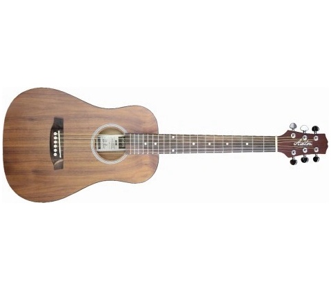 Ashton Mini 20