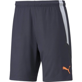 PUMA Teamliga training shorts 2 s