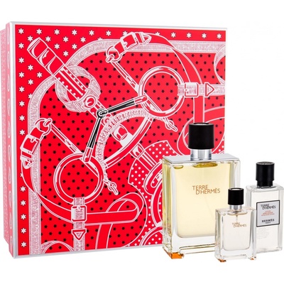 Hermés Terre D'Hermés EDT 100 ml + EDT 12,5 ml + voda po holení 40 ml darčeková sada