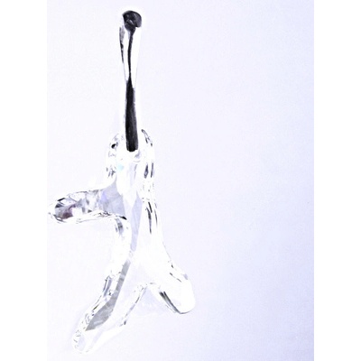 Čištín Stříbrný přívěšek, Swarovski krystal čírý 6 8851